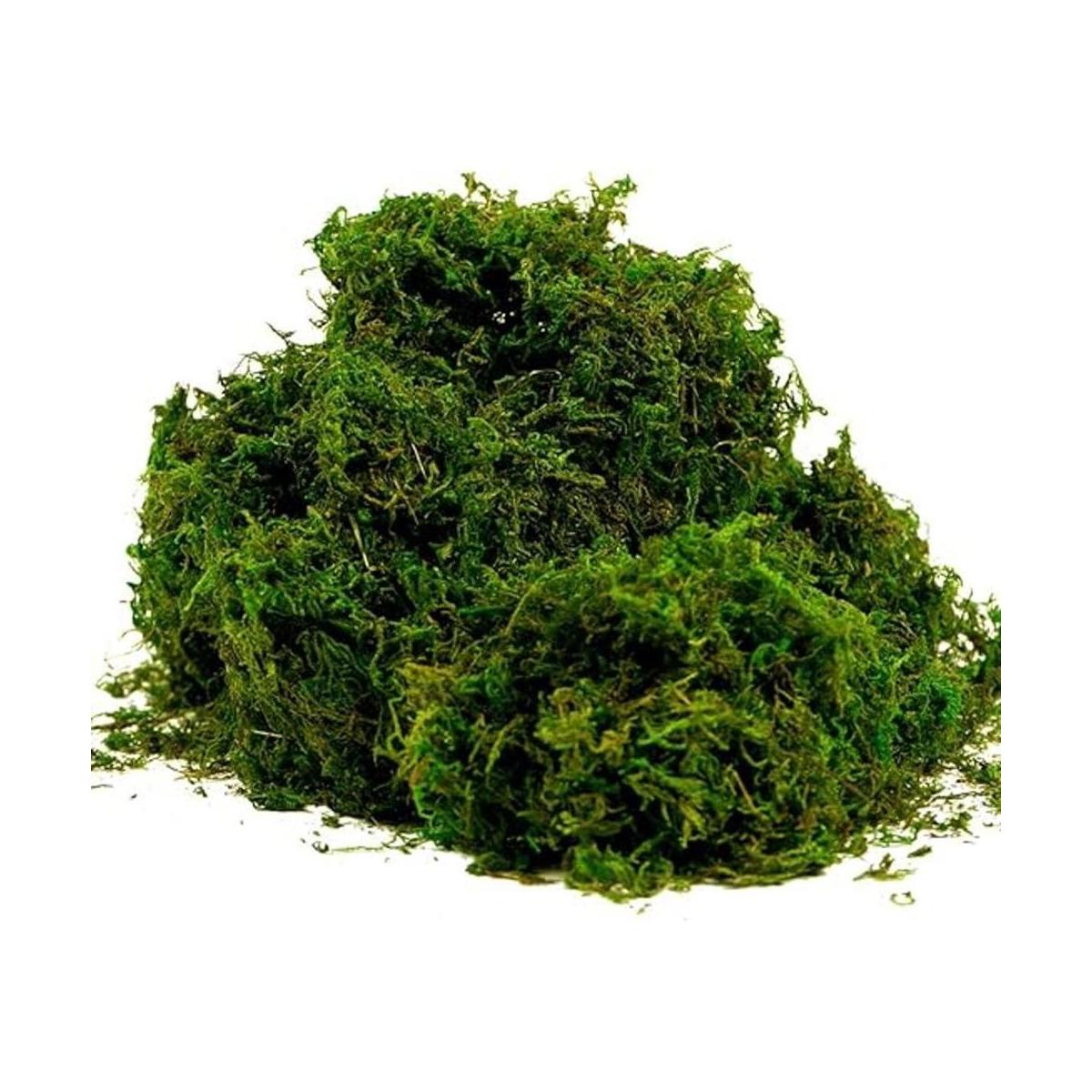 BYHER Musgo falso musgo verde fresco artificial para