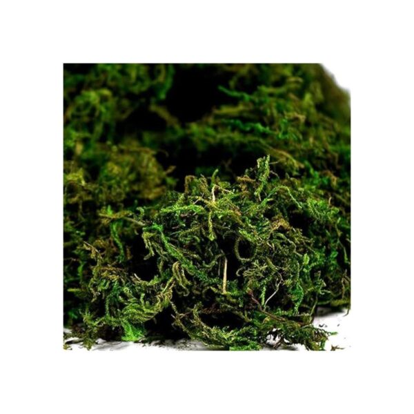BYHER Musgo falso musgo verde fresco artificial para