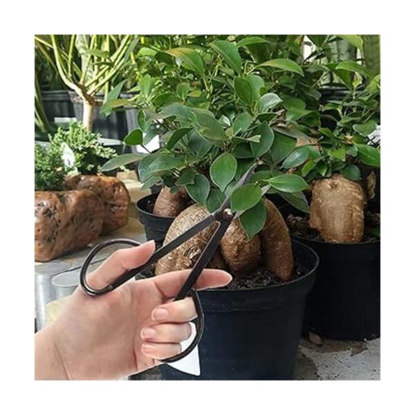 BambooMN Marca corte de bonsái negro de 7.2 pulgadas