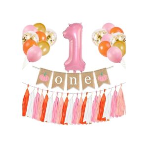 Bandera de cumpleaños de calabaza rosa para primer