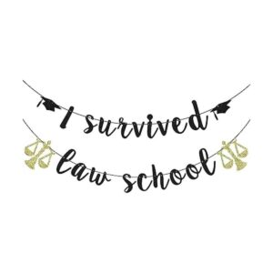 Bandera de la escuela de derecho I Survived Law School_1