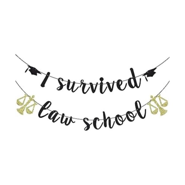 Bandera de la escuela de derecho I Survived Law School_1
