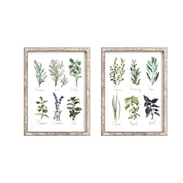 Barnyard Designs Vintage Herb and Spices Placa enmarcada