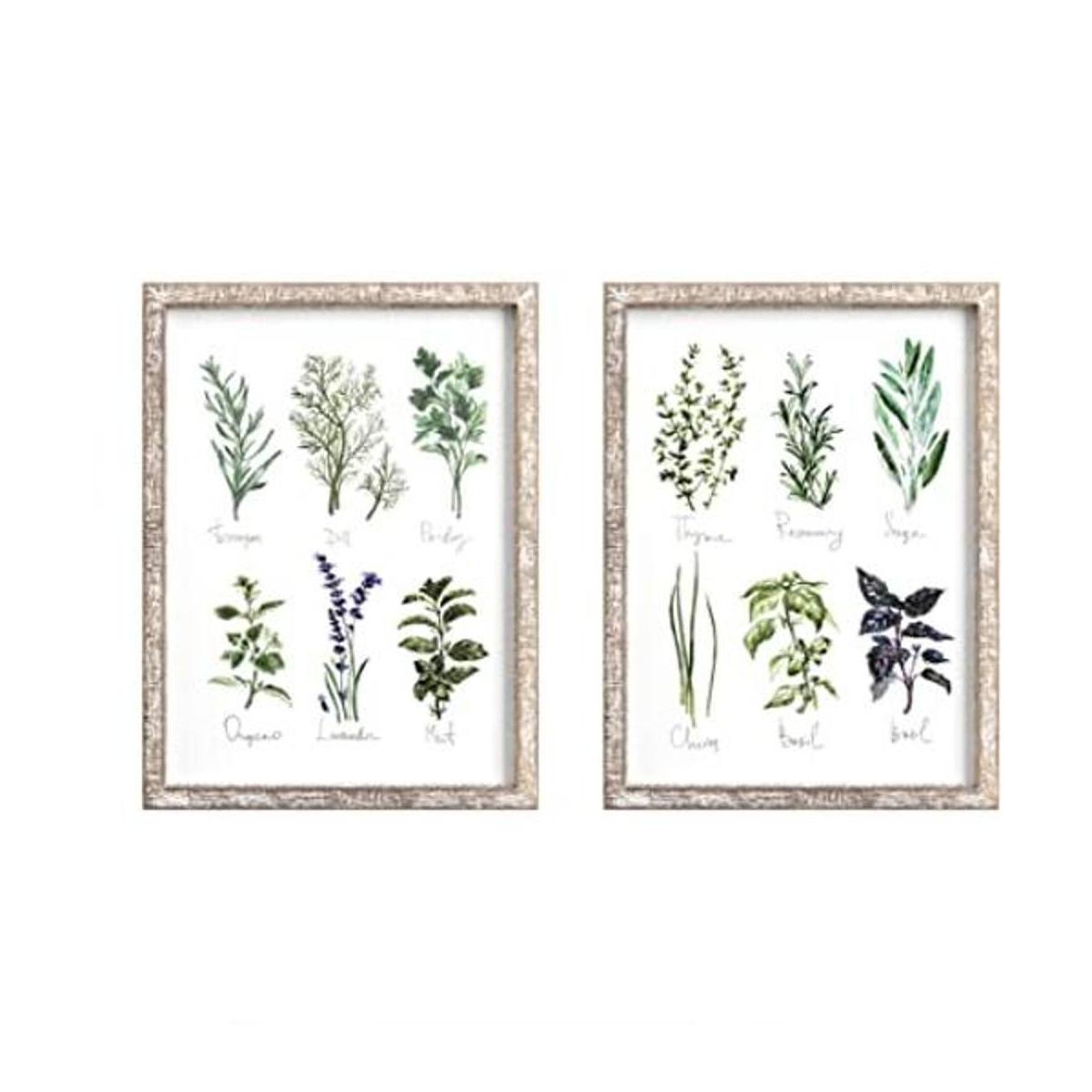 Barnyard Designs Vintage Herb and Spices Placa enmarcada