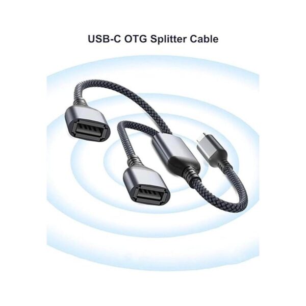 Basesailor Adaptador de cable USB C macho a doble USB