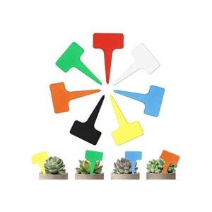 Beadnova Etiquetas para plantas 140 unidades diseño de T_1