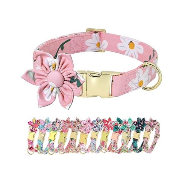 Beirui Lindos collares de perro para niñas pequeñas_1