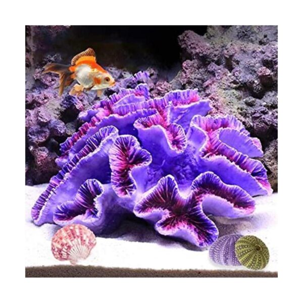 Besimple Decoración para acuario o paisaje de acuario