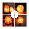 Betus Reemplazo original Bombilla incandescente de 25 W_4