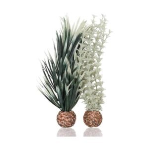 BiOrb GreyGreen Ambulia Small_1