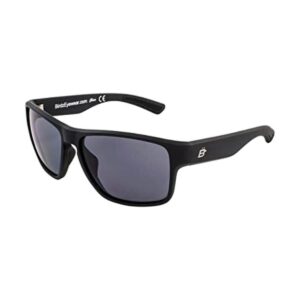 Birdz Glide Lentes de sol para hombres o mujeres lentes_1