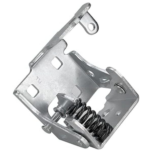Bisagra de puerta delantera inferior lado izquierdo del_3