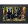 Black Bear Family Nature Felpudo para interiores y_1
