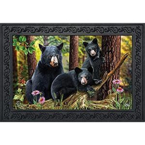 Black Bear Family Nature Felpudo para interiores y_1