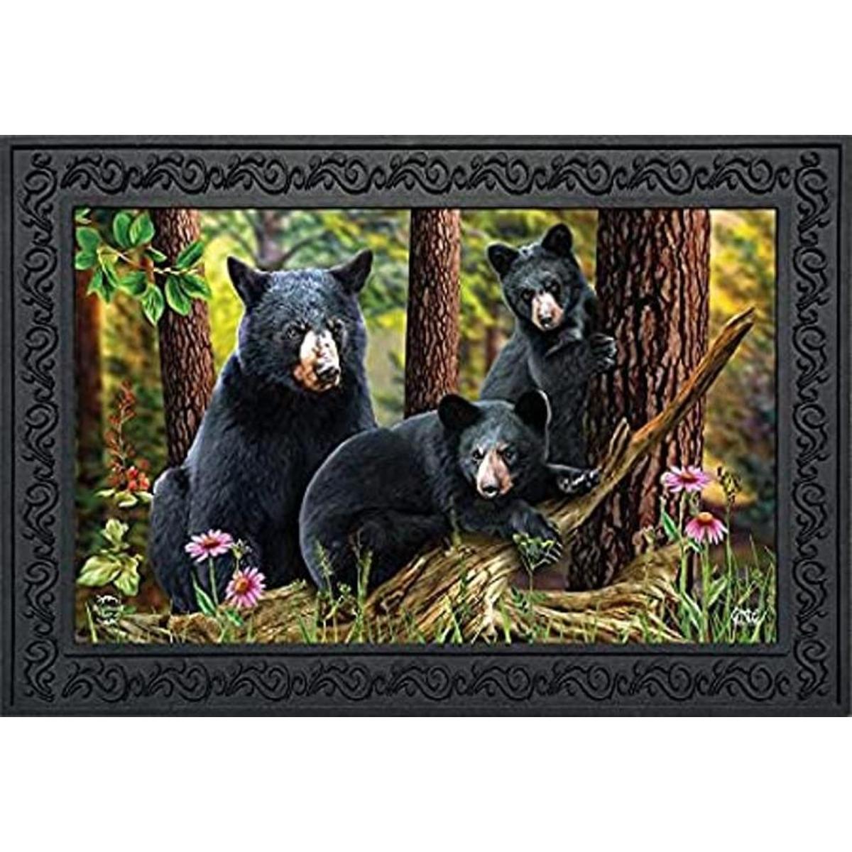 Black Bear Family Nature Felpudo para interiores y