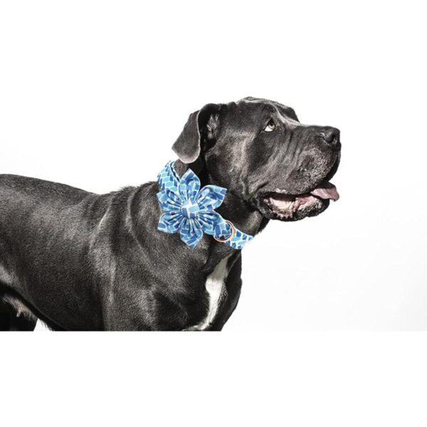 Bobo Rainbow Collar para perro con flor azul ajustable