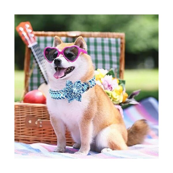 Bobo Rainbow Collar para perro con flor azul ajustable