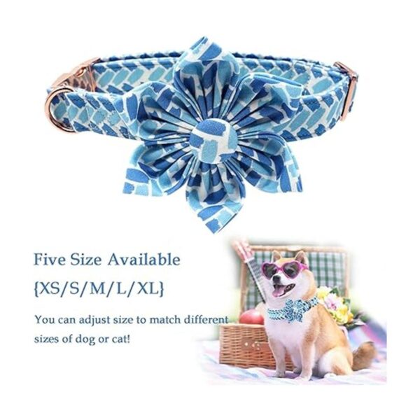 Bobo Rainbow Collar para perro con flor azul ajustable