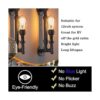 Bombilla Edison de 12 V 6 W E26 12 V equivalente a