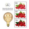 Bombilla LED Edison G95 de 4 W regulable filamento LED_4