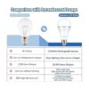 Bombilla de emergencia recargable paquete de 2 luz
