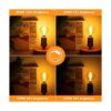 Bombilla de candelabro E12 Décor Globe g16.5 de 4 W_3