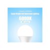 Bombilla de espectro completo bombilla de luz solar_3