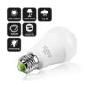 Bombillas LED Edison de 12 V24 V CACC de 12 W luz diurna