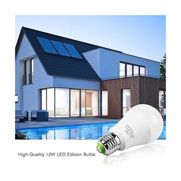 Bombillas LED Edison de 12 V24 V CACC de 12 W luz diurna