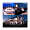 Bombillas LED Edison de 12 V24 V CACC de 12 W color