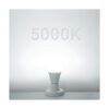 Bombillas LED Edison de 12 V24 V CACC de 12 W luz diurna