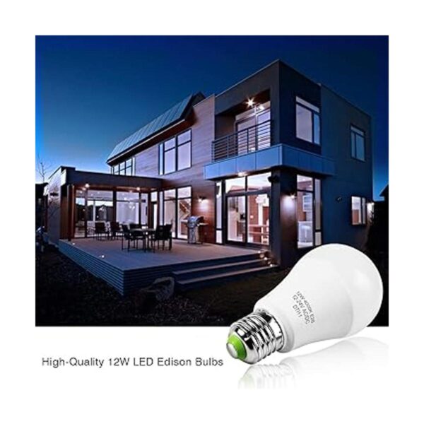 Bombillas LED Edison de 12 V24 V CACC de 12 W color
