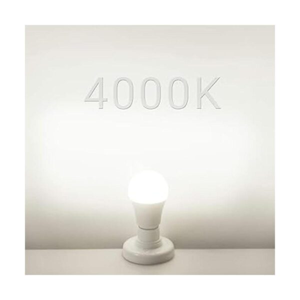Bombillas LED Edison de 12 V24 V CACC de 12 W color