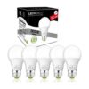 Bombillas LED Edison de 12 V24 V CACC de 12 W color