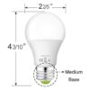 Bombillas LED Edison de 12 V24 V CACC de 12 W luz diurna