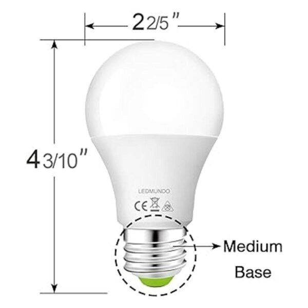 Bombillas LED Edison de 12 V24 V CACC de 12 W luz diurna