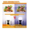 Bombillas LED RGBW que cambian de color A19 E26 base de