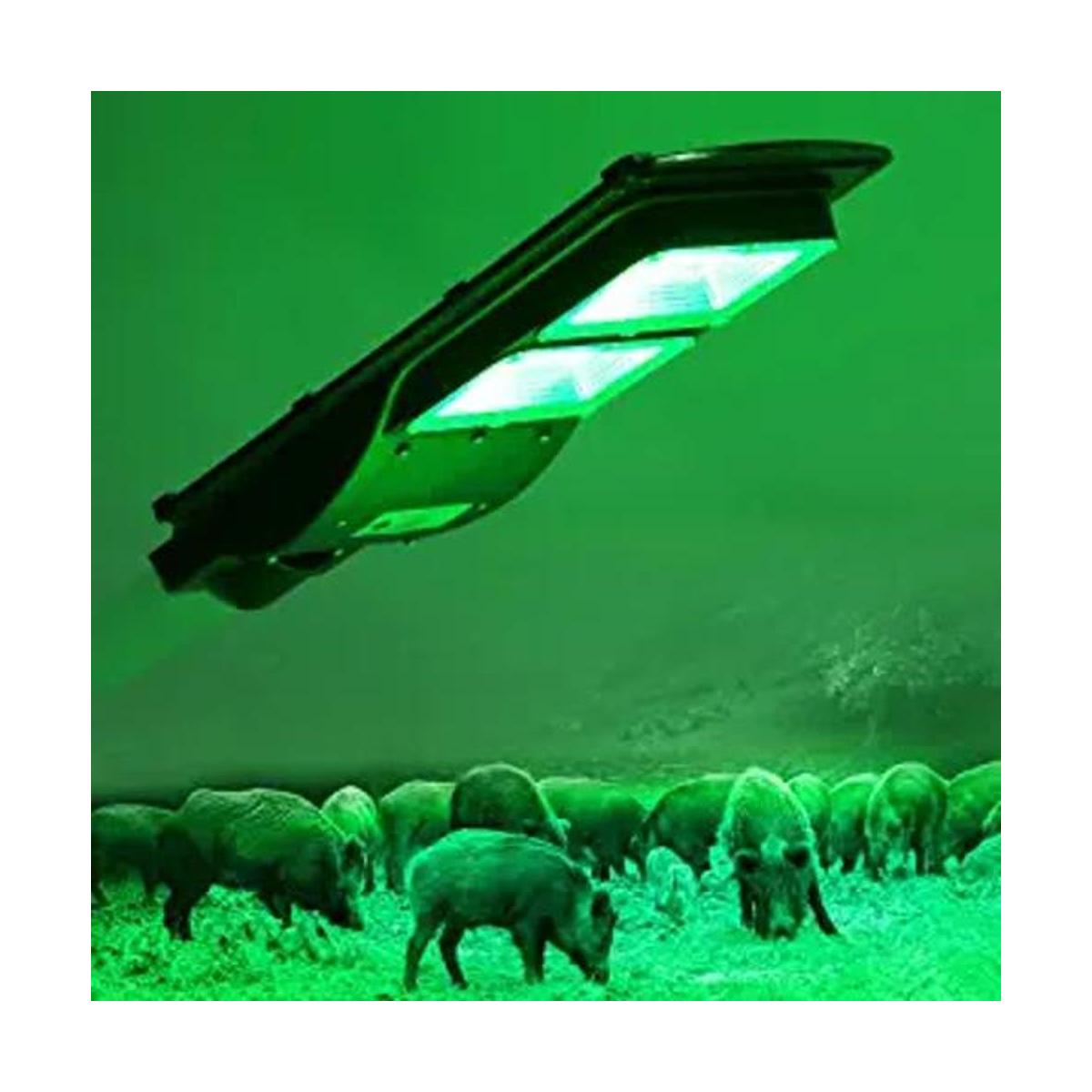 Bsod Luz de cerdo luces solares verdes para caza ciervo