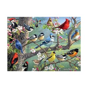 Buffalo Games Hautman Brothers Birds in an Orchard_1