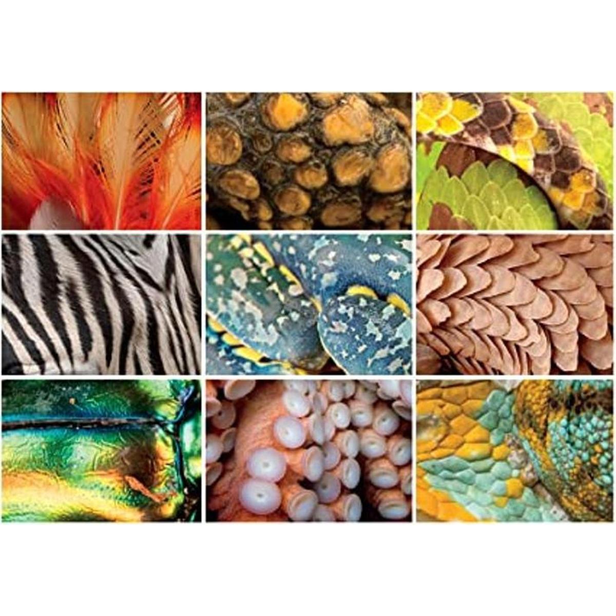 Buffalo Games National Geographic Animal Grid