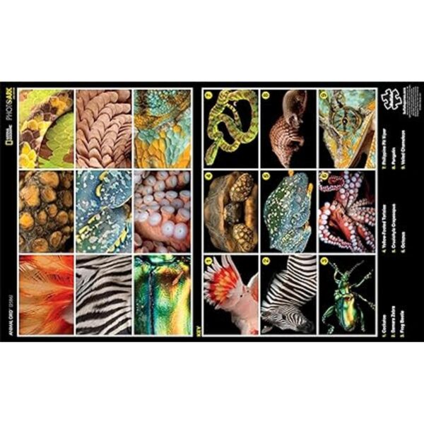 Buffalo Games National Geographic Animal Grid_5