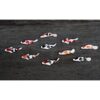 Buy Easy 10 Mezcla Colorido Koi Fish Fairy Garden Animal