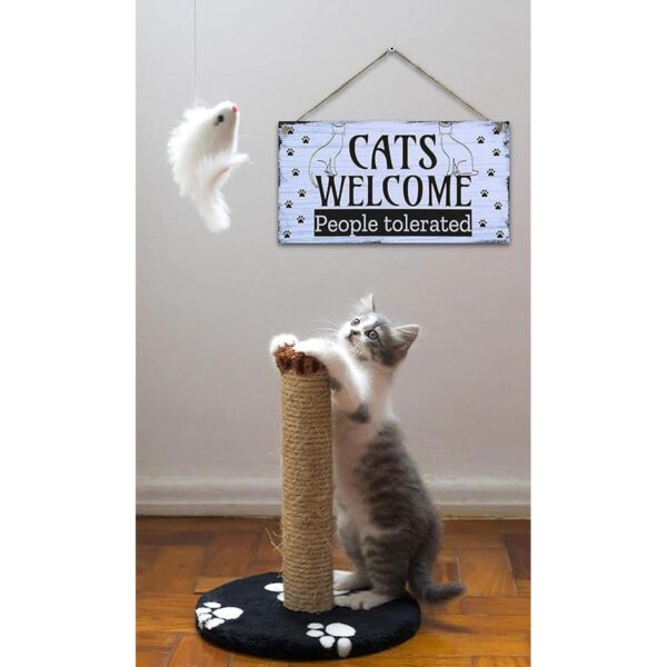 CARISPIBET Cats Welcome Letrero divertido para decoración_4
