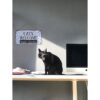 CARISPIBET Cats Welcome Letrero divertido para decoración_3