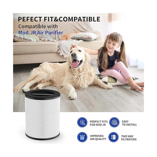 CFKREYA Reemplazo del filtro HEPA compatible con_6