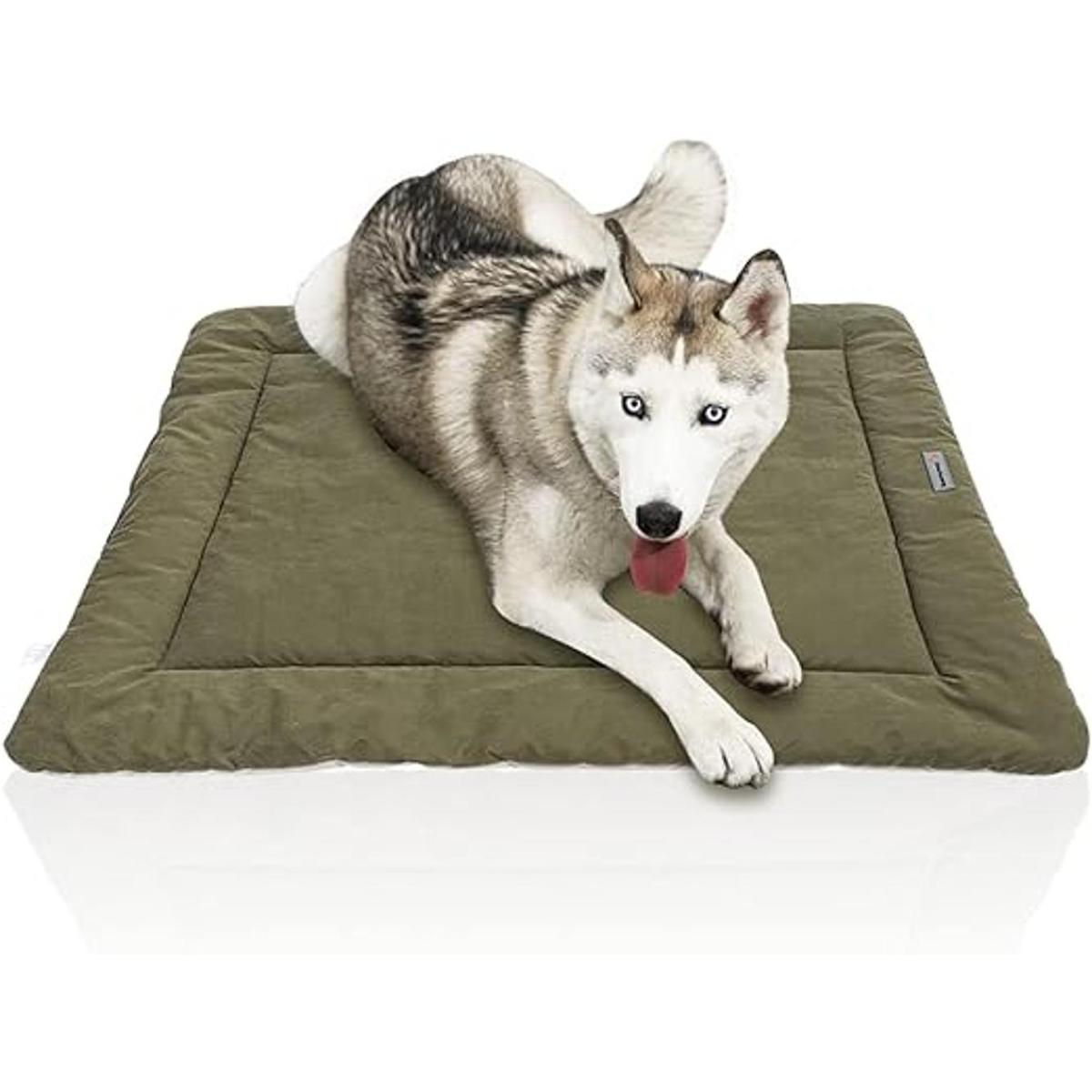 CHEERHUNTING Cama para perros al aire libre para mascotas