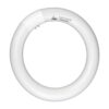 CHKADAWA FC8T9CW Bombilla fluorescente circular circular_2