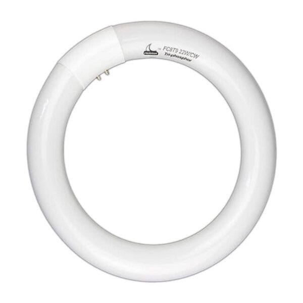 CHKADAWA FC8T9CW Bombilla fluorescente circular circular_2