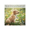 CLKHOWL Cable de amarre para perros 1630 pulgadas anti