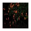 Cadena de luces Chili 20 luces LED de 10 pies funciona